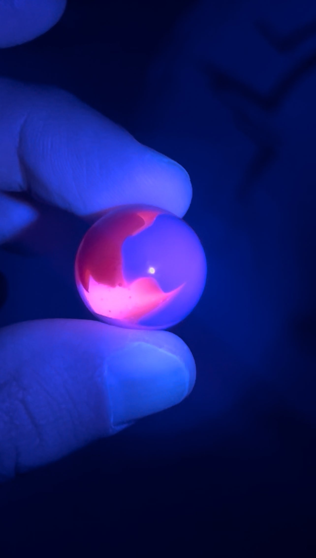 Marble - WigWag, Orange / Purple / Pink Proton (UV)