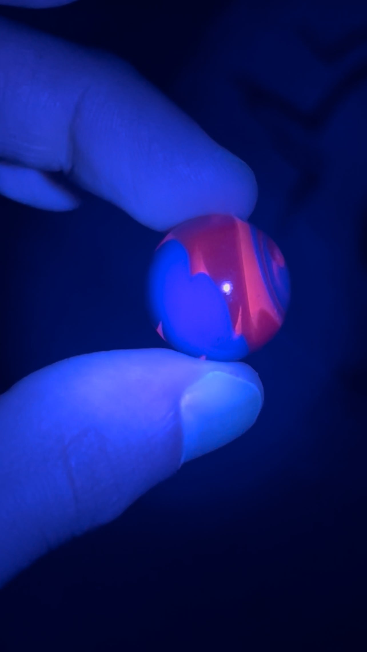 Marble - WigWag, Orange / Purple / Pink Proton (UV)